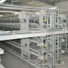 Best Price High Quality H Type Layer Cage Equipment